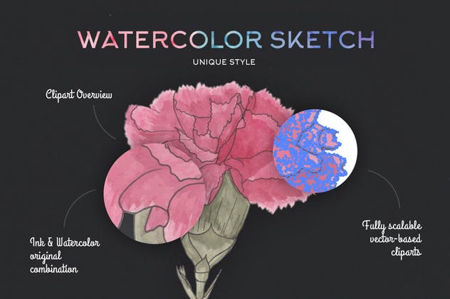 水彩艺术花卉矢量插画合集 FlorArt Watercolor Kit插图(1)