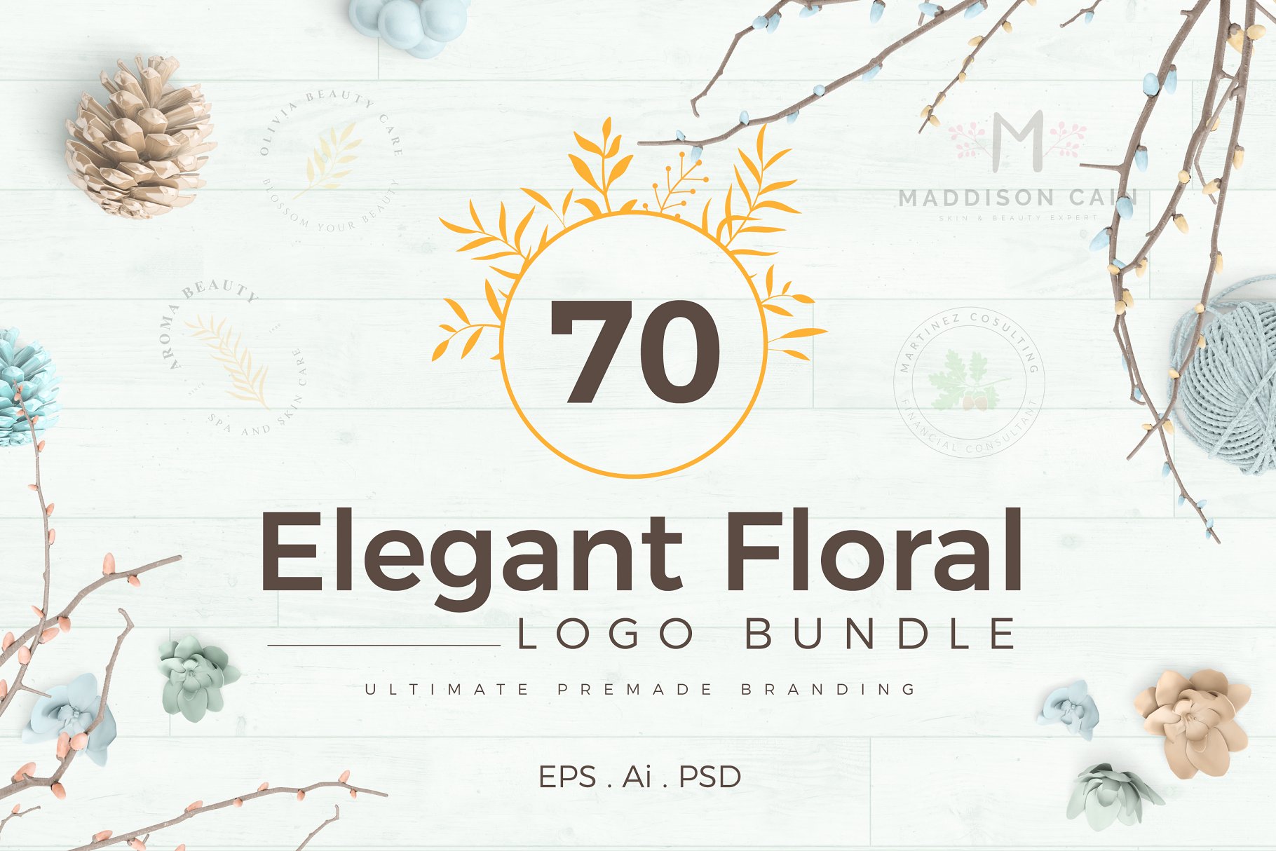 70款优雅花卉装饰标志设计模板素材 70 Elegant Floral Logo Pack插图