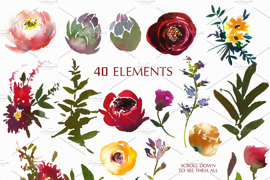 波尔多水彩花卉艺术设计素材 Bordo Watercolor Floral Clip Art Set插图(4)