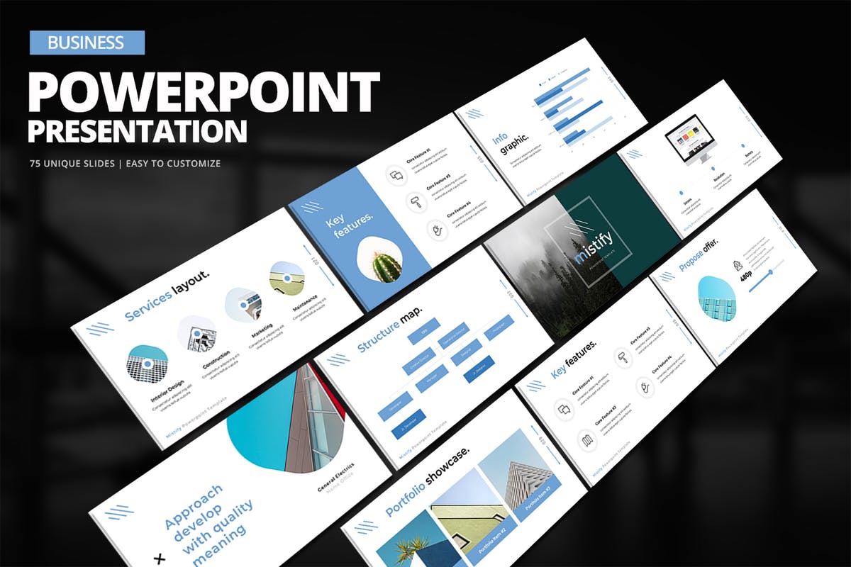 项目投标项目介绍PPT幻灯片模板 Business Powerpoint Presentation插图