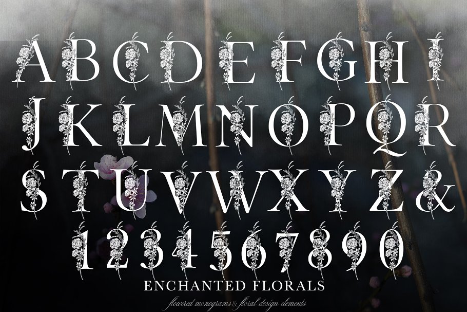 魔法花卉装饰字母创意字母集 Enchanted Florals Monogram Set插图(3)