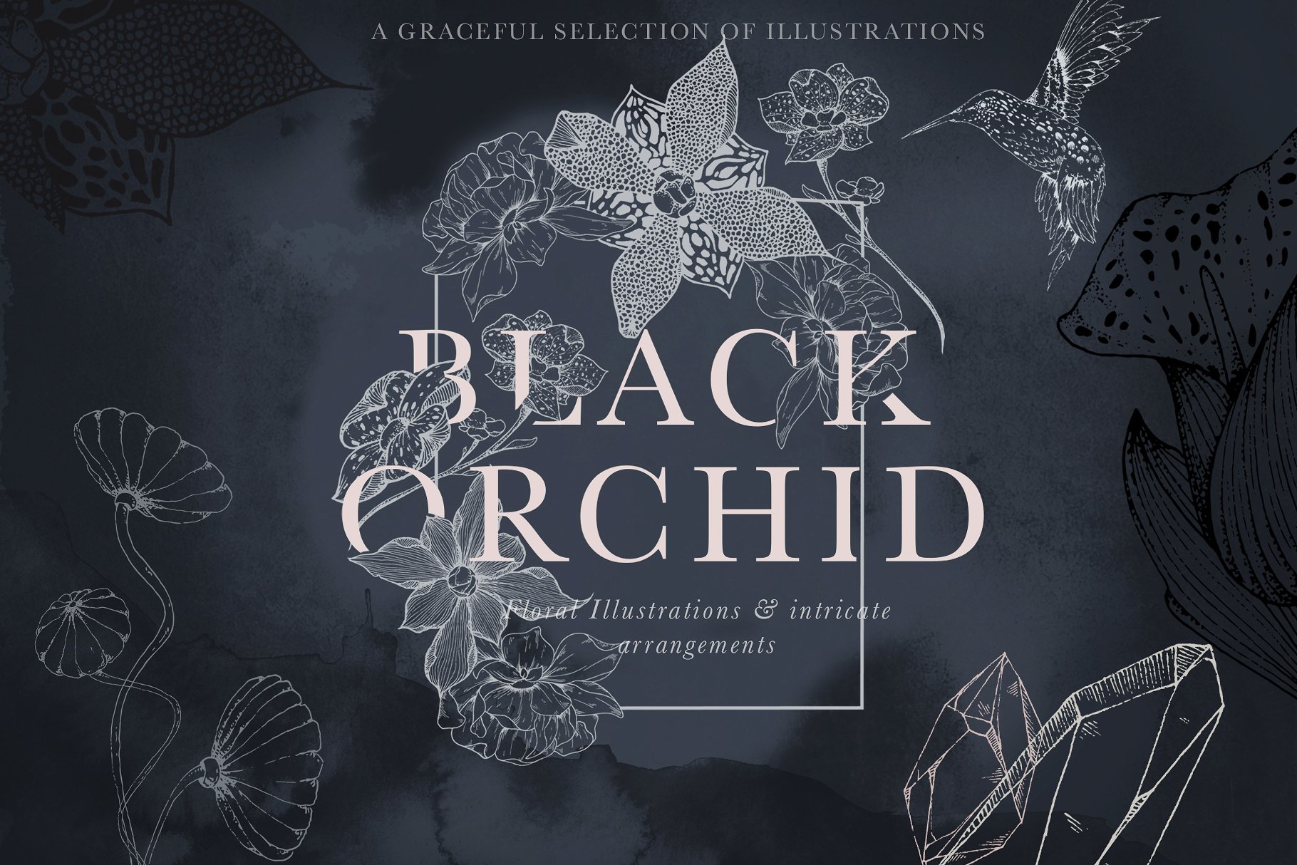 虚实结合黑色背景手绘矢量花卉图形素材 Black Orchid Illustration Set插图