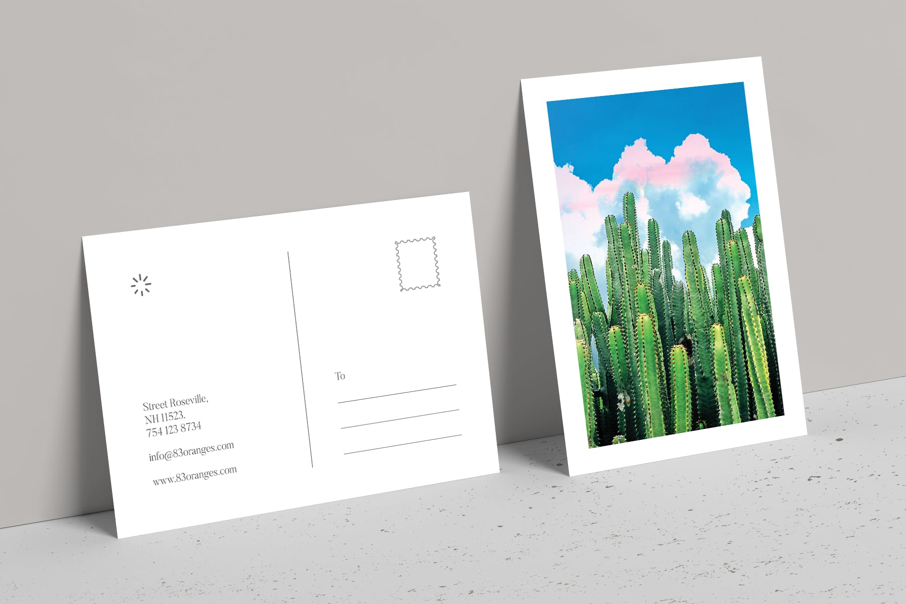 夏日仙人掌水彩艺术办公文具设计套装 Cactus Summer Art & Stationary Kit插图(1)