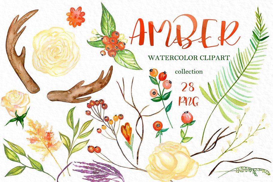 秋天水彩花卉花环剪贴画合集 Amber. Autumn watercolor clipart插图(2)