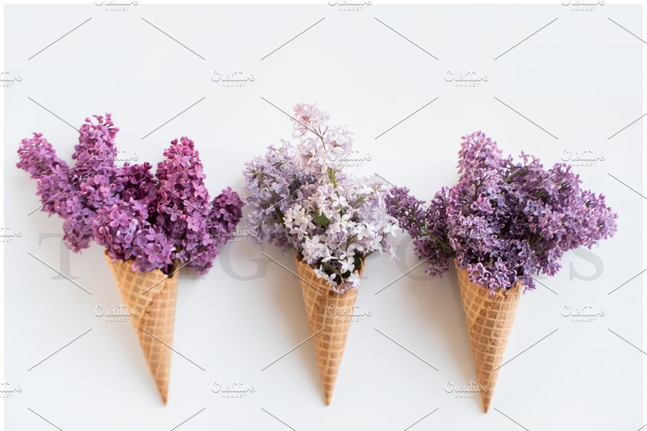 春天丁香花场景样机 Spring Lilac Stock Photos插图(6)