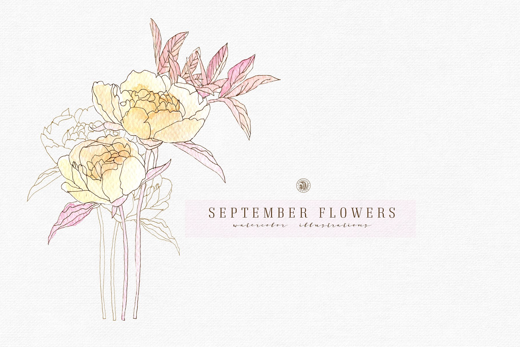九月淡雅风水彩手绘花卉插画素材v2 September Flowers vol.2插图(1)