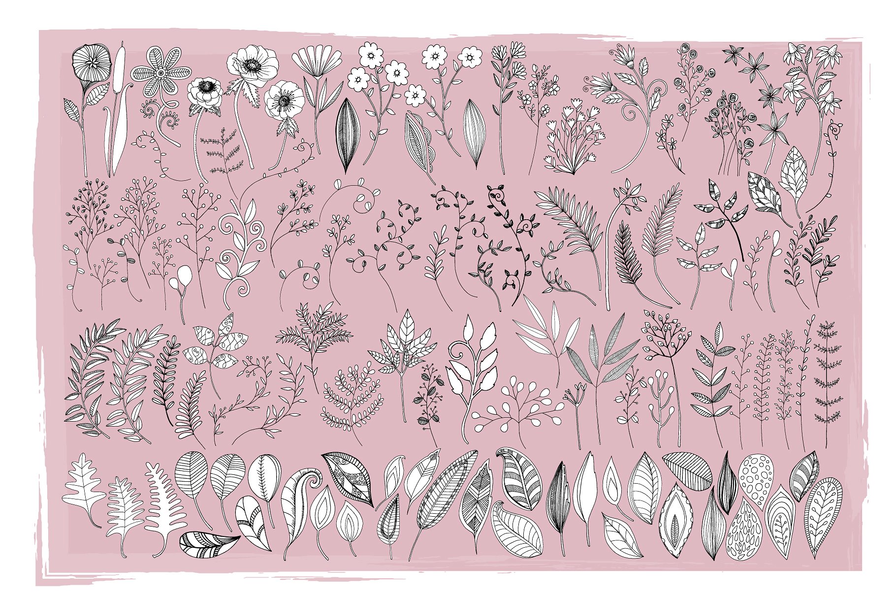 花卉艺术线条及花环素材 Flower Line Art & Floral Wreaths插图(10)