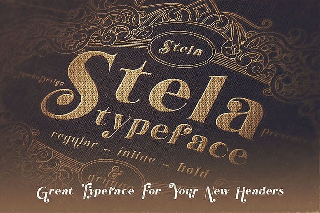 复古外观风格英文衬线装饰字体下载 Stela – Display Font插图(4)