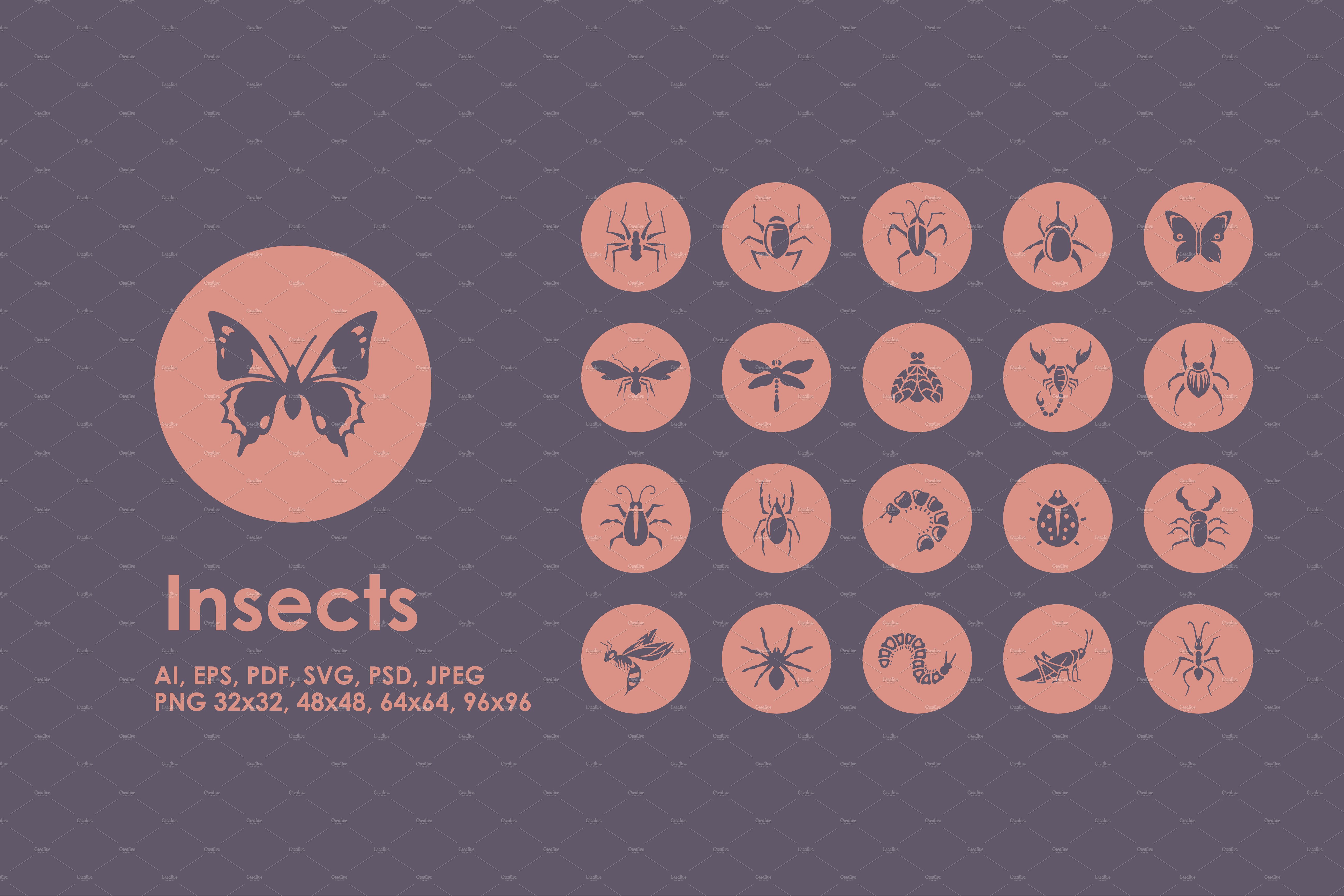 一组常见昆虫图标  Insects icons插图