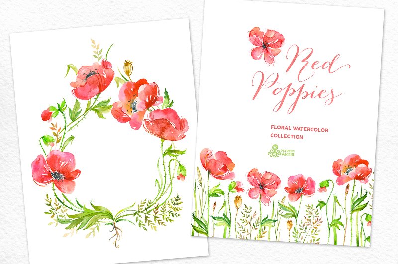 红色手绘水彩罂粟花卉元素 Red Poppies. Floral collection插图(1)