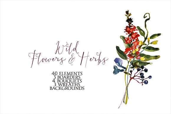 野花草本水彩套装 Wild Flowers & Herbs Watercolor Set插图(10)