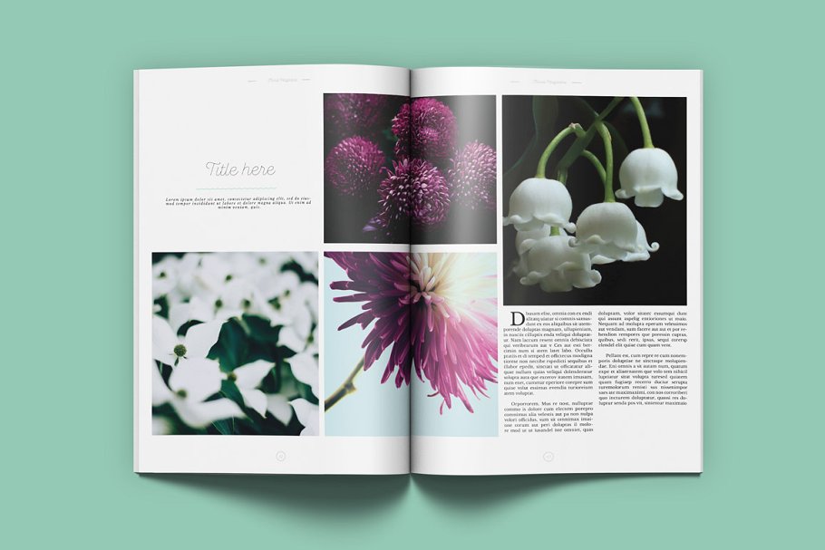 极简主义盆栽景观通用杂志模板 Floral Magazine插图(4)