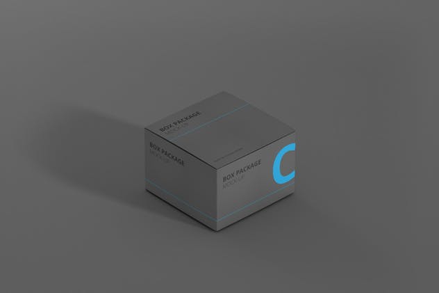 纸质包装盒外观设计样机模板 Package Box Mock-Up – Flat Square插图(5)