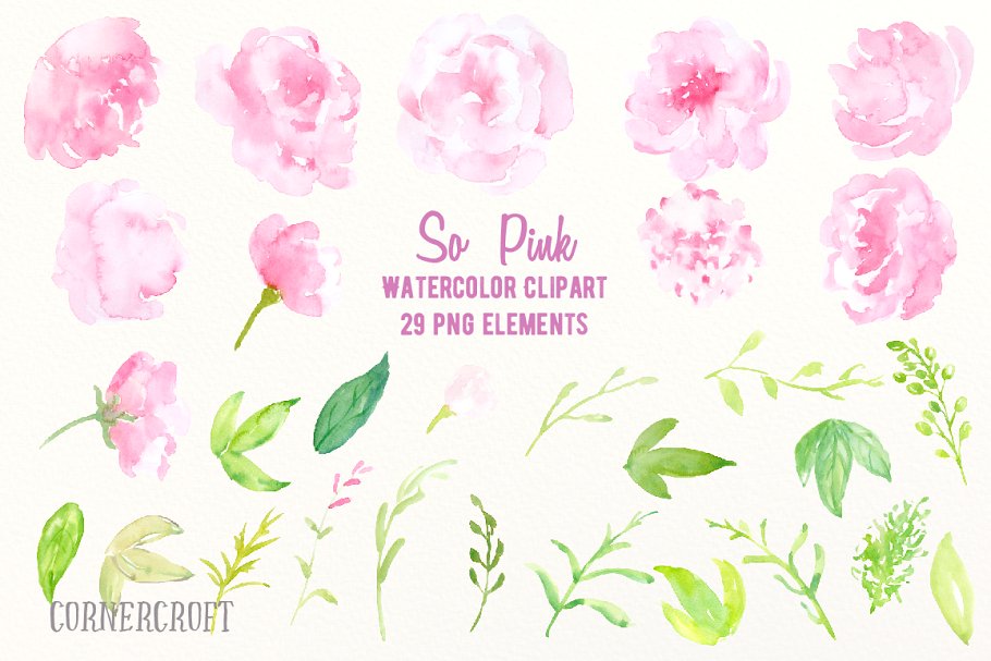 粉色水彩牡丹花卉元素剪贴画 Watercolor Clipart So Pink Flowers插图(1)