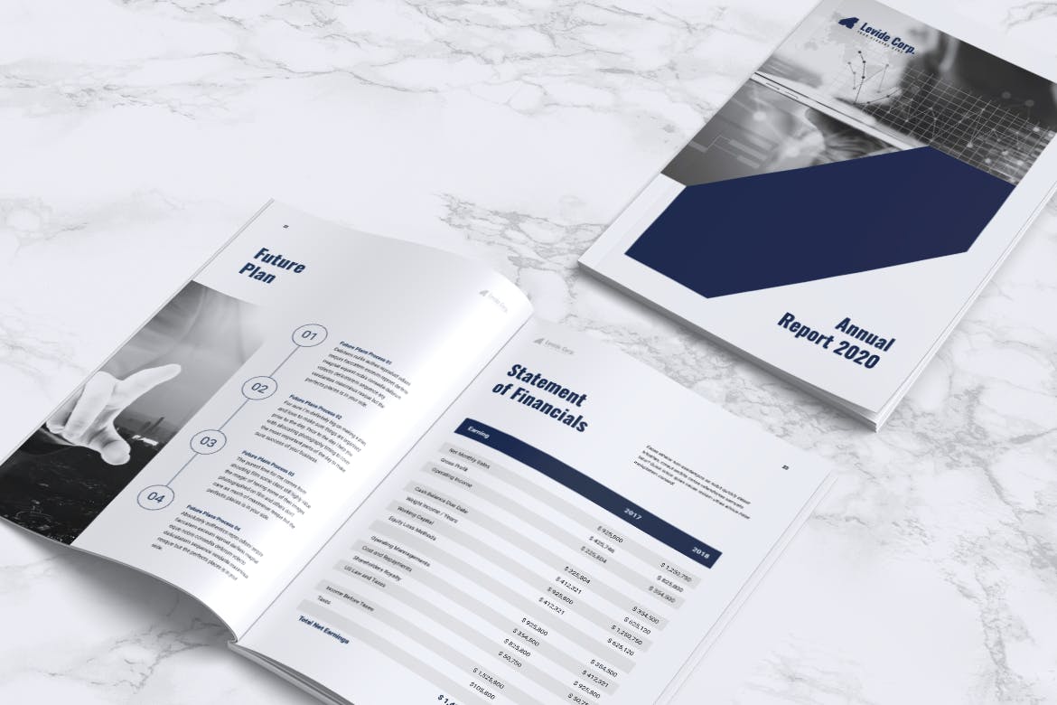 上市公司企业年度报告设计模板 LEVIDE Corporate Annual Report插图(5)