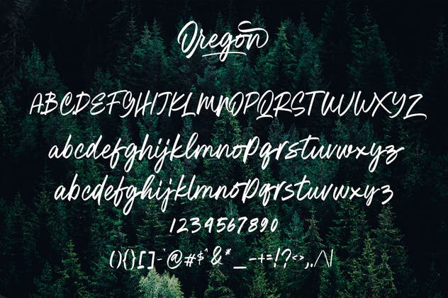 绘画画笔英文书法字体 Oregon Script MS插图(6)