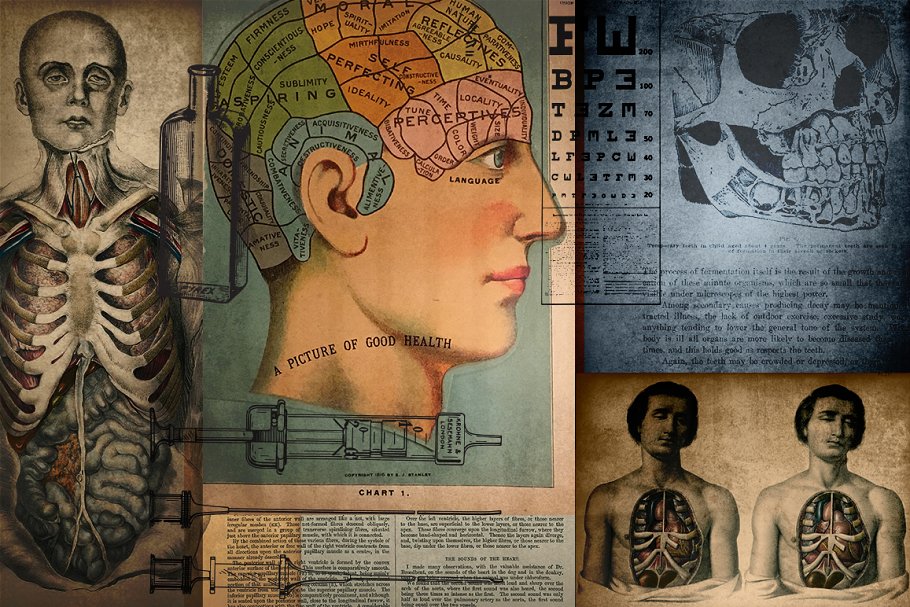 旧时代解剖医学插图素材 Medical Art | 110 EPS, PNG and JPG’s插图(2)