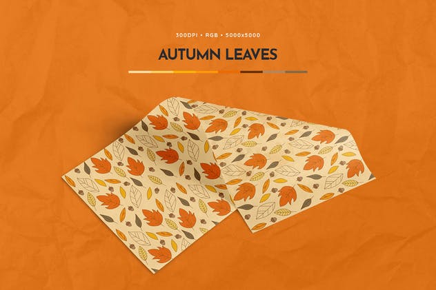 “您好,秋天”无缝图案纹理合集 Hello Autumn Seamless Patterns插图(2)