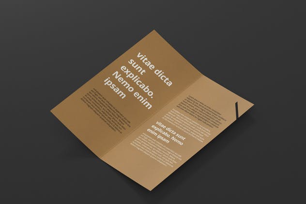 对折折页宣传小册样机 DL Bi-Fold Brochure Mock-Up插图(11)
