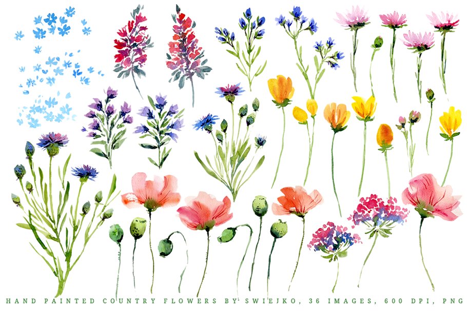 手绘城市花卉图形 Hand painted country flowers插图(1)