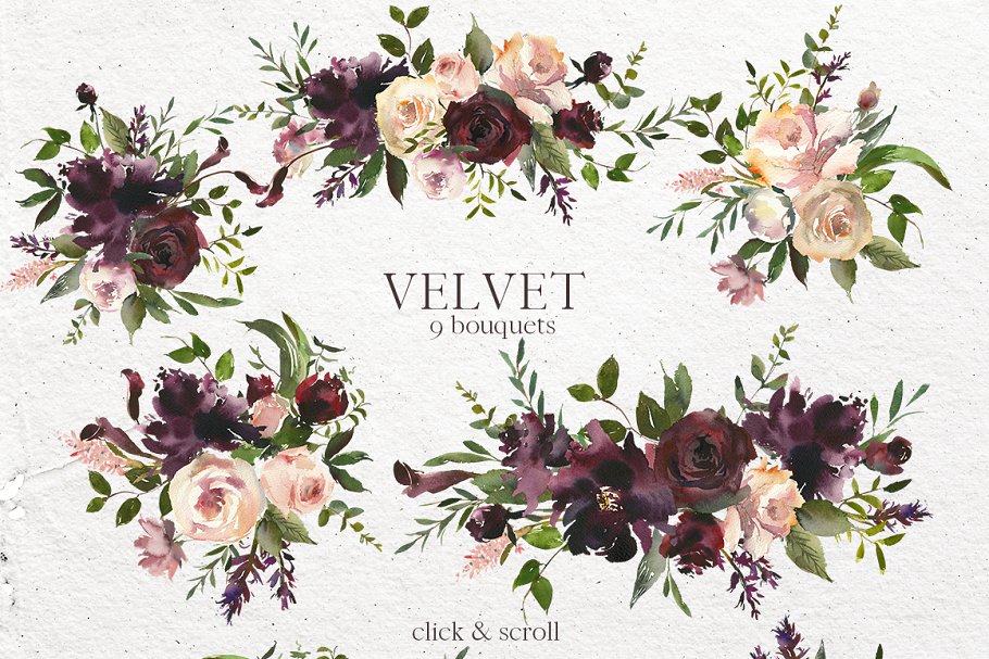 天鹅绒-水彩花卉剪贴画 Velvet – Watercolor Floral Clip Art插图(1)