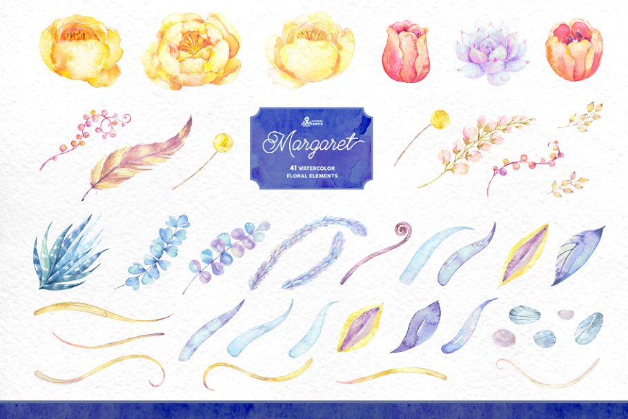 玛格丽特水彩花卉插画 Margaret. Watercolor flowers插图(4)