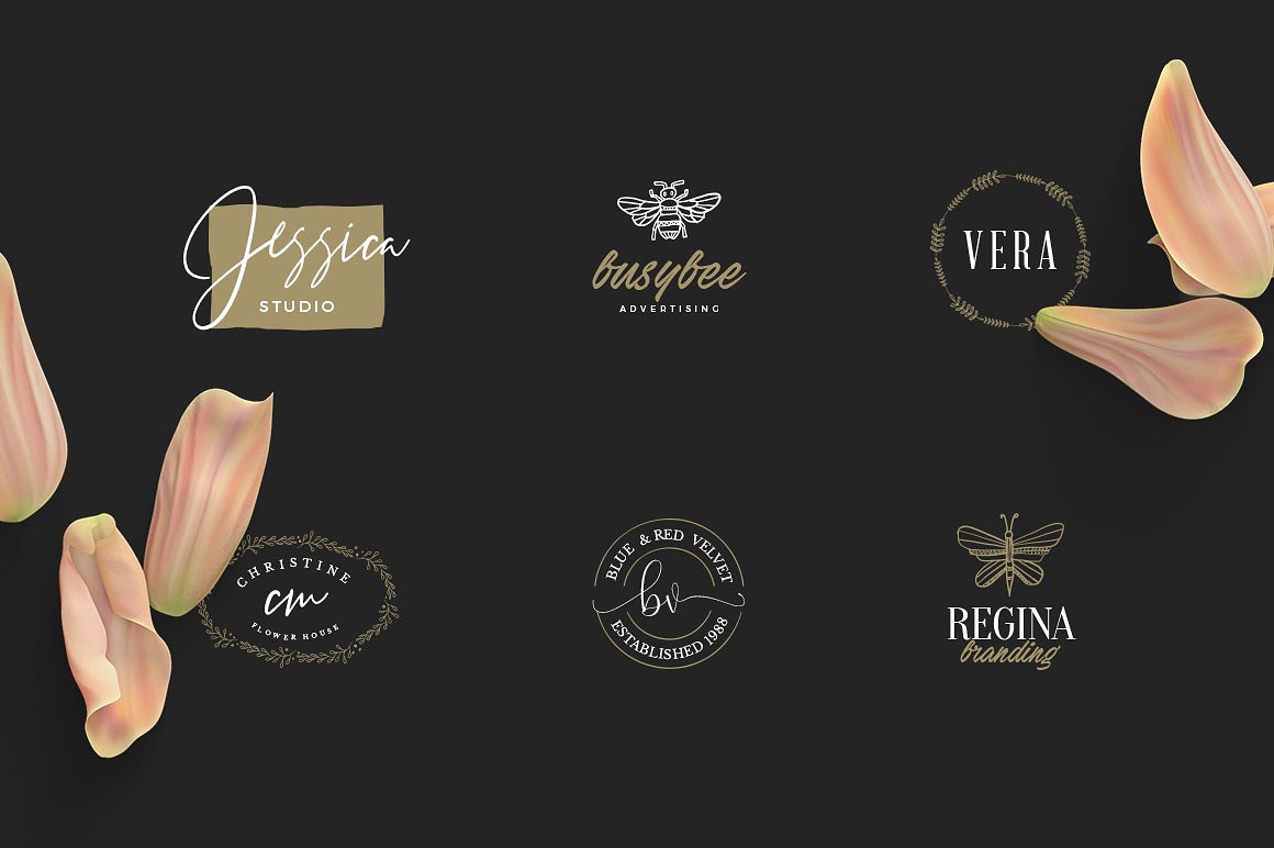 50款女性奢华品牌Logo模板 50 Feminine Luxury Logos插图(1)