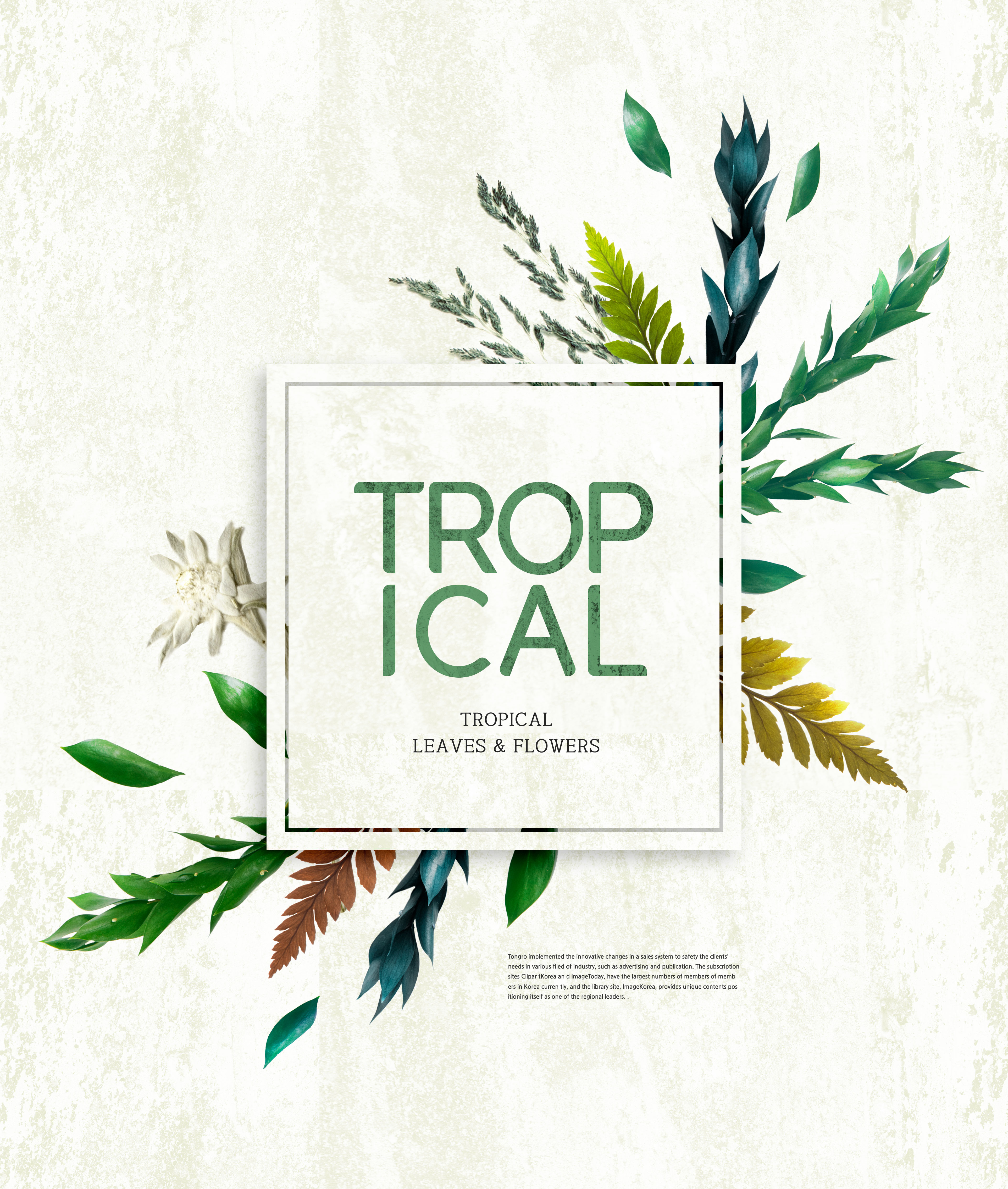 热带植物叶子&花卉图案海报设计素材插图(2)