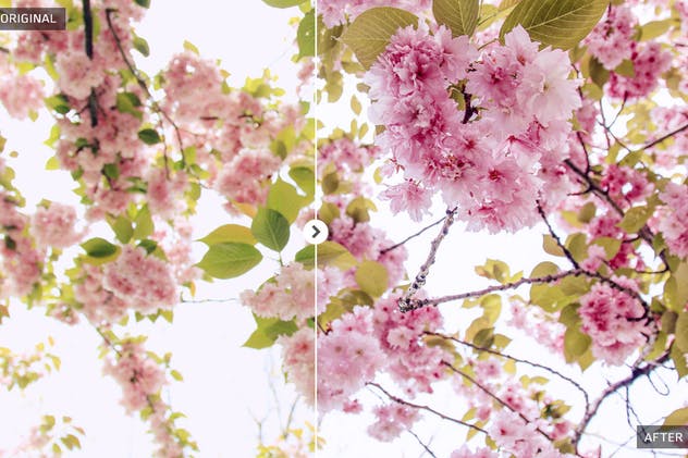 春季风景人像照片后期处理LR调色滤镜 Spring Lightroom Presets插图(1)