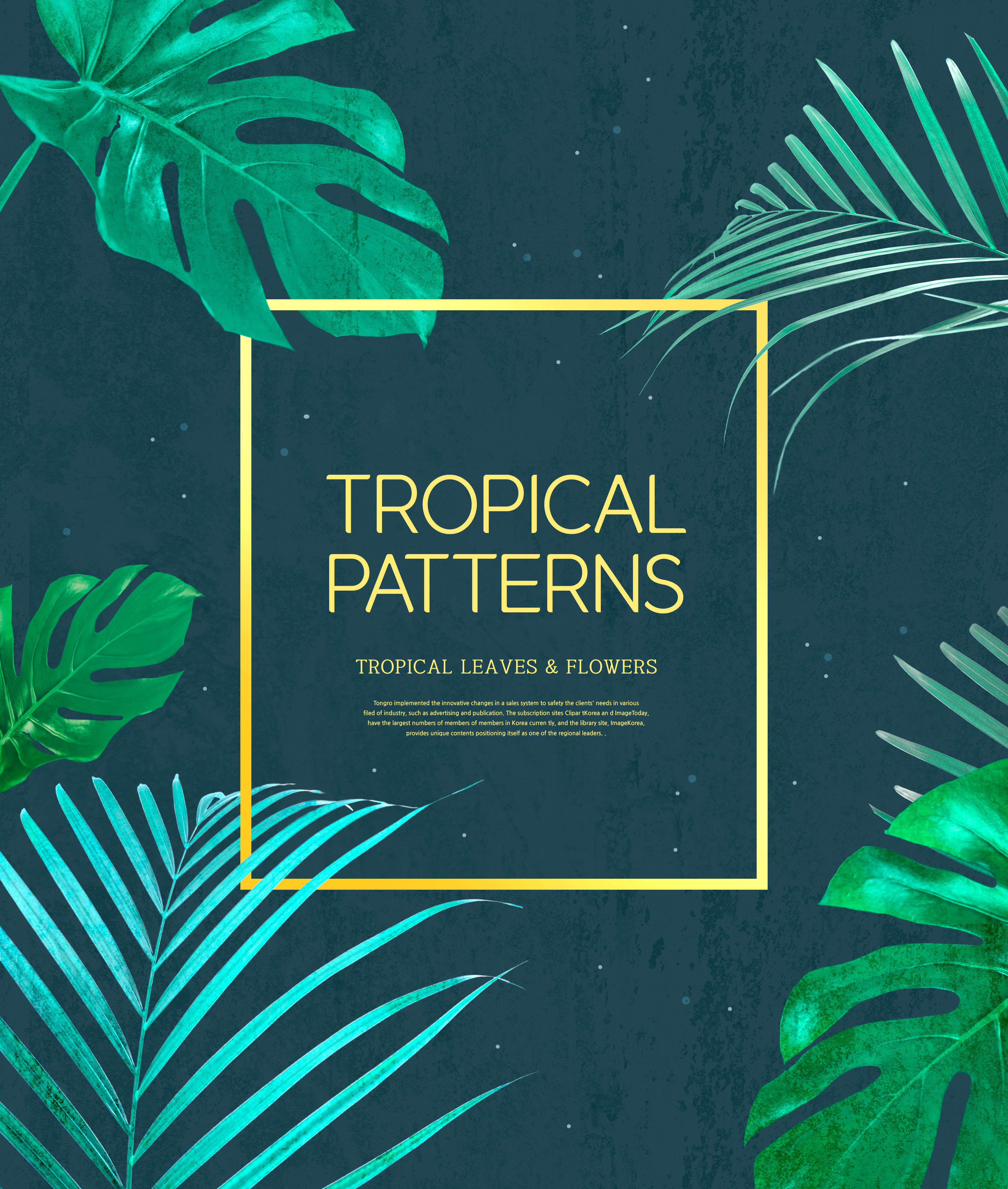 热带植物叶子&花卉图案海报设计素材插图