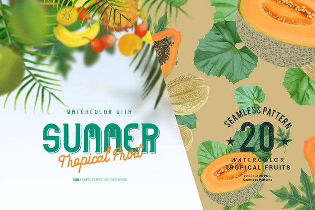 夏日热带水果水彩插画 Watercolor with summer – Tropical Fruit插图(6)