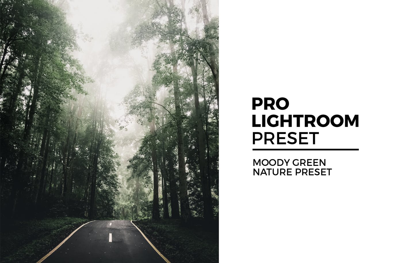 户外风景照片后期处理LR预设 Moody Green Nature Preset插图