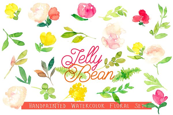 手绘水彩花卉剪贴画合集 Jelly Bean – Watercolor Floral插图(2)