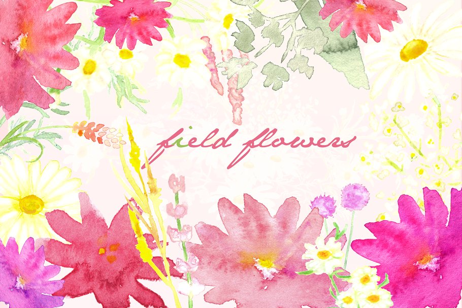 手绘水彩白色雏菊野花剪贴画 Field Flowers watercolor clip art插图(1)