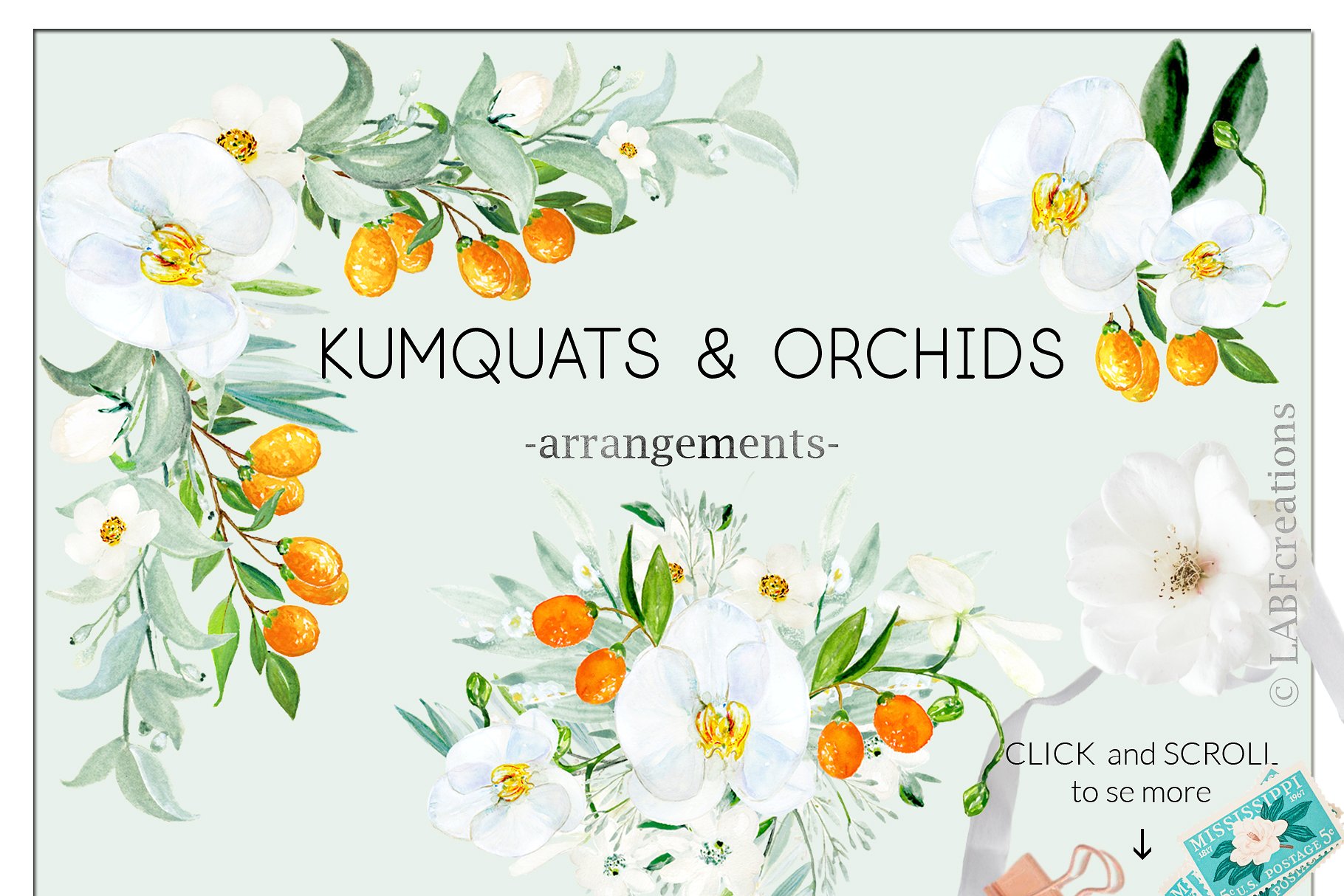 金橘和白色兰花手绘水彩画素材 Kumquat & white orchids. Watercolors插图(2)