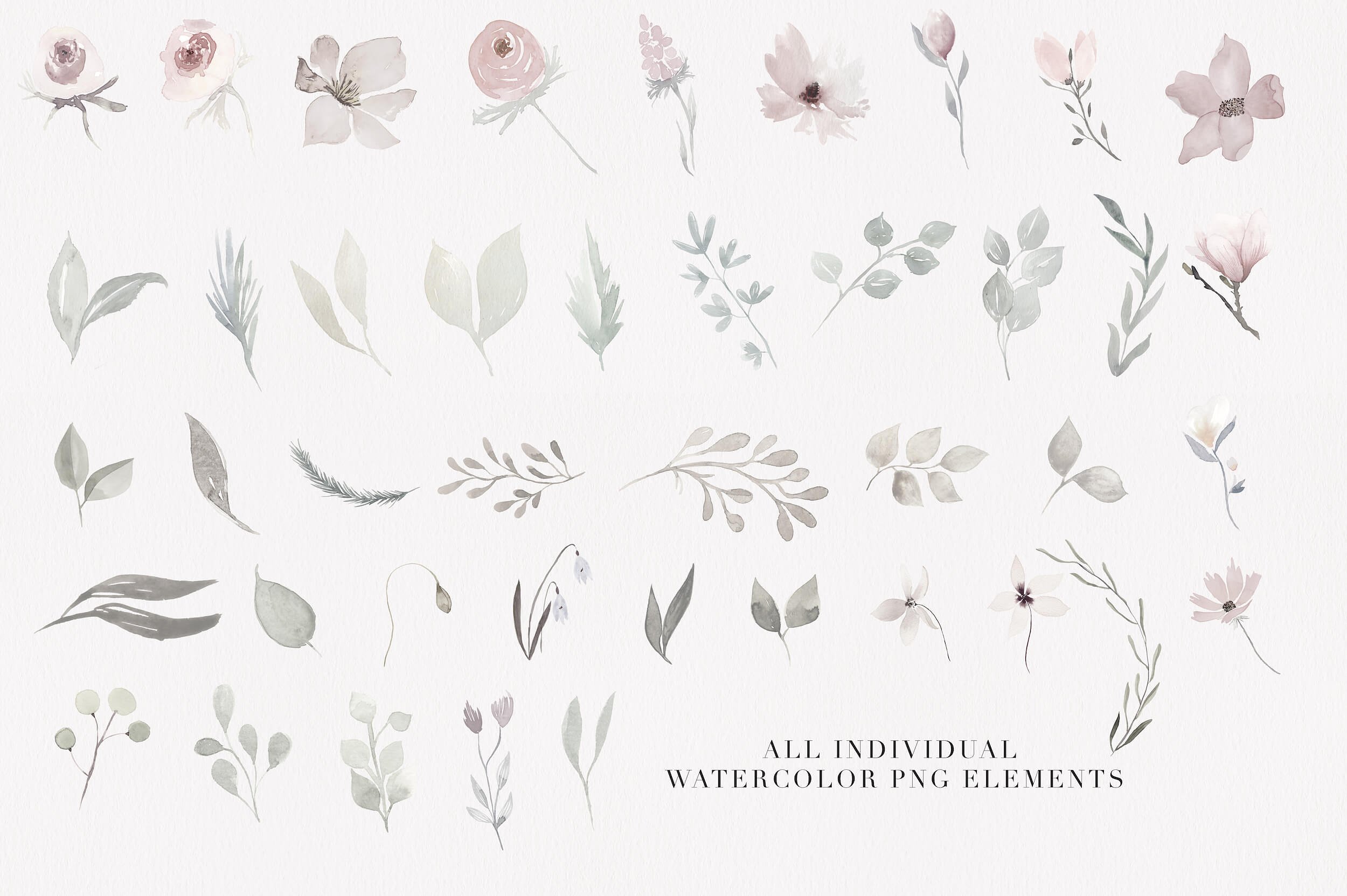 淡雅手绘素描花卉剪贴画 Bloom & Flourish – Floral Clipart插图(3)