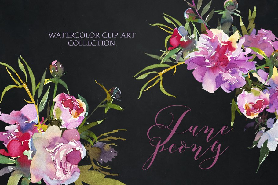 粉红牡丹水彩剪贴画合集 Pink Peony Watercolor Clip Art Set插图(1)