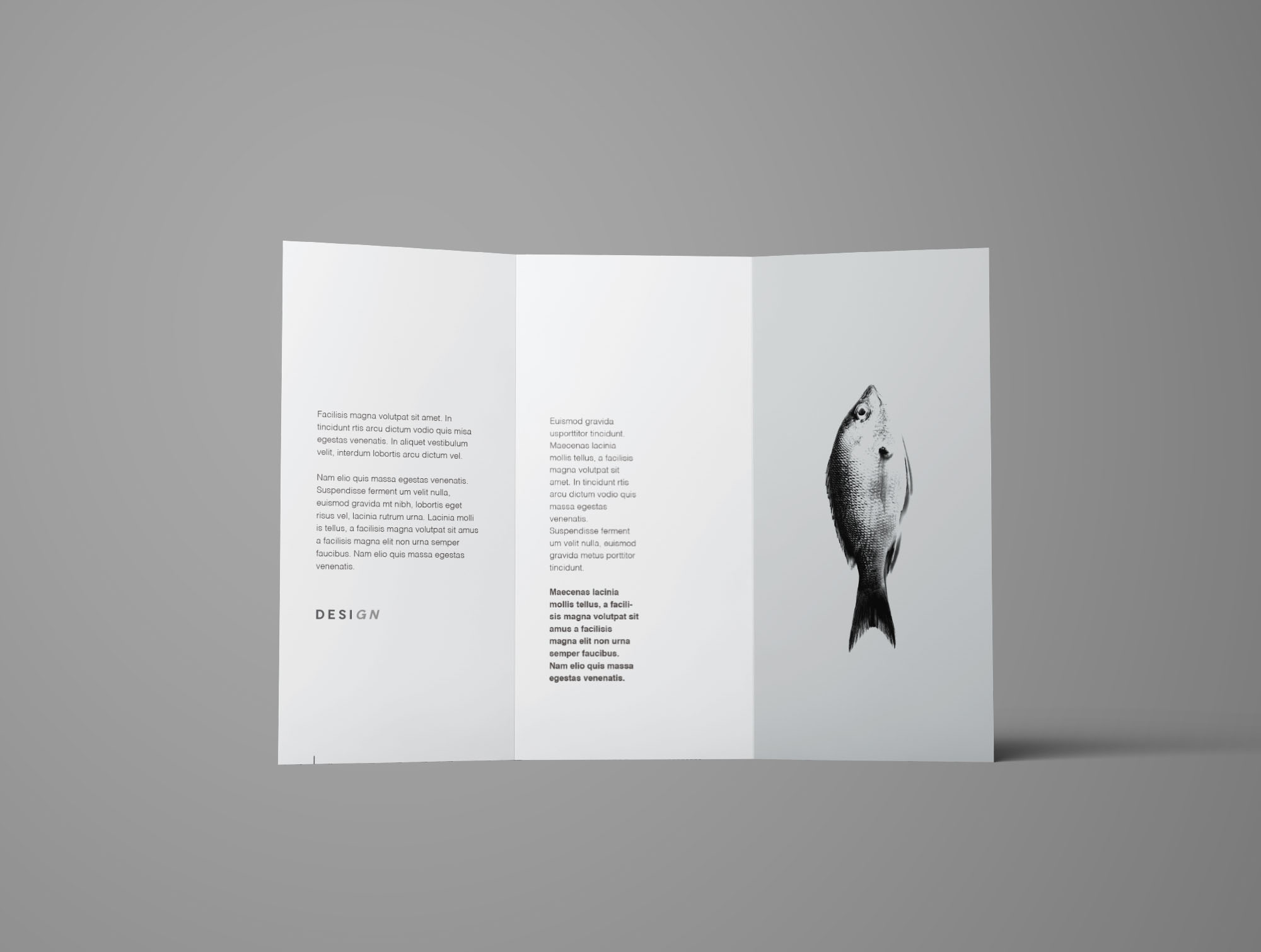多角度三折页宣传单设计效果图样机 Free Advanced Trifold Brochure Mockup – 7 Angles插图(4)