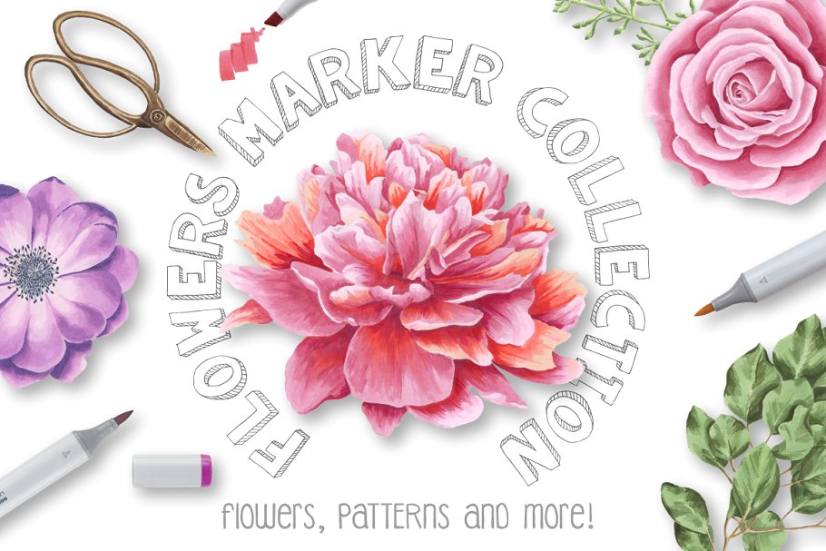 水彩马克笔花卉插画合集 Flower Marker Collection Pro插图