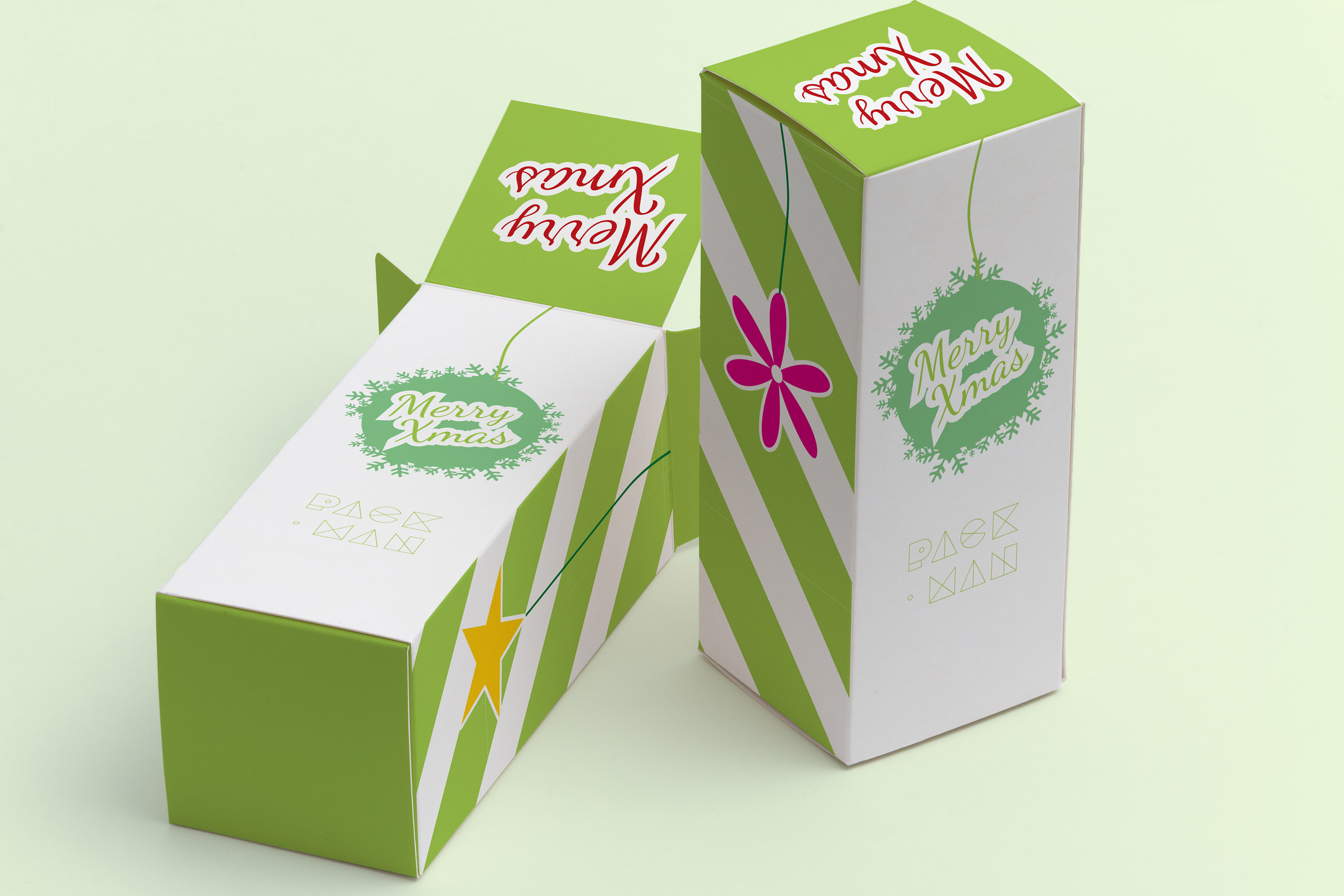 长方体产品包装盒设计效果图样机模板02 Tall Gift Box Mockup 02插图(1)
