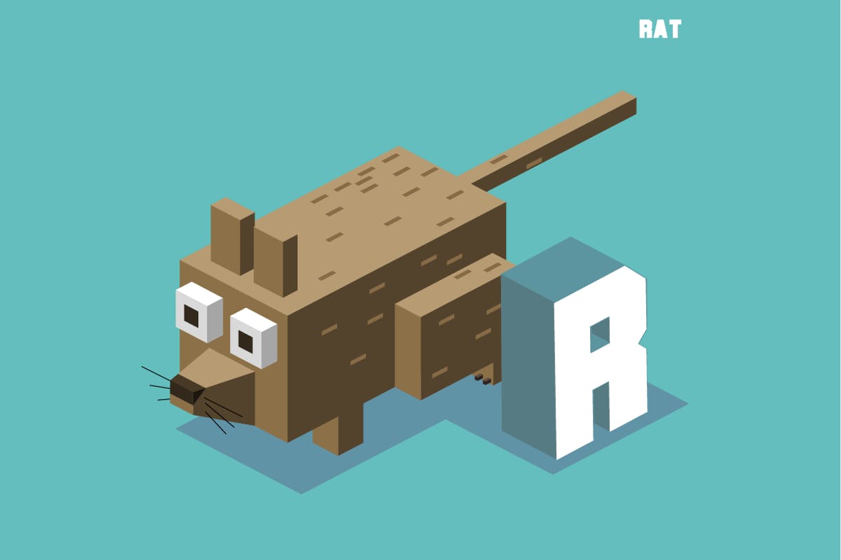 “R”老鼠动物词汇字母2.5D插画素材 R for Rat, Animal Alphabet插图