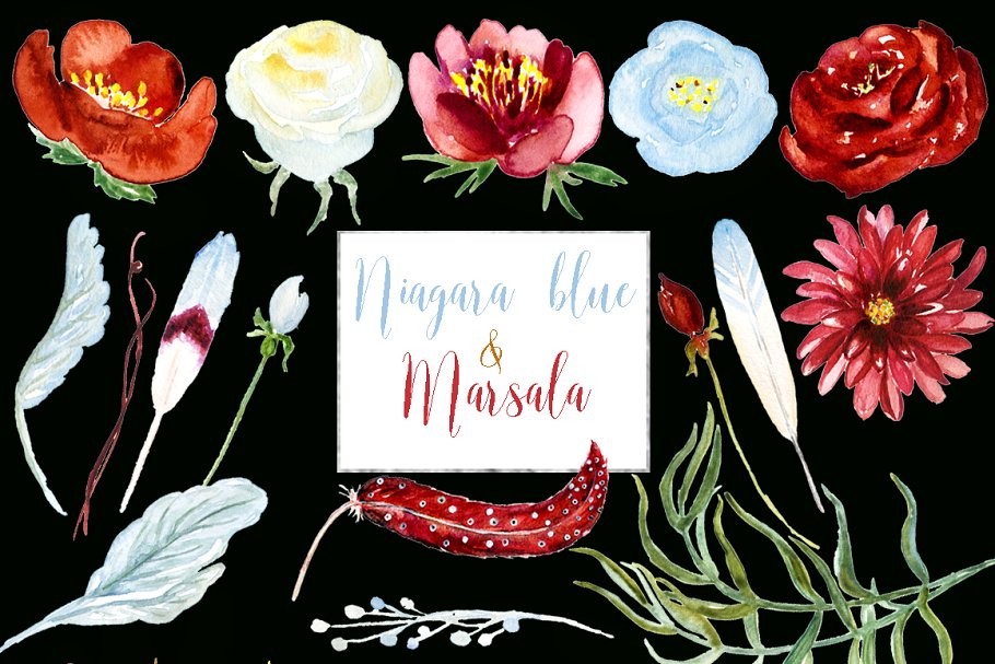 马沙拉白葡萄酒和尼亚加拉蓝水彩花卉剪贴画 Marsala and Niagara blue watercolors插图(5)