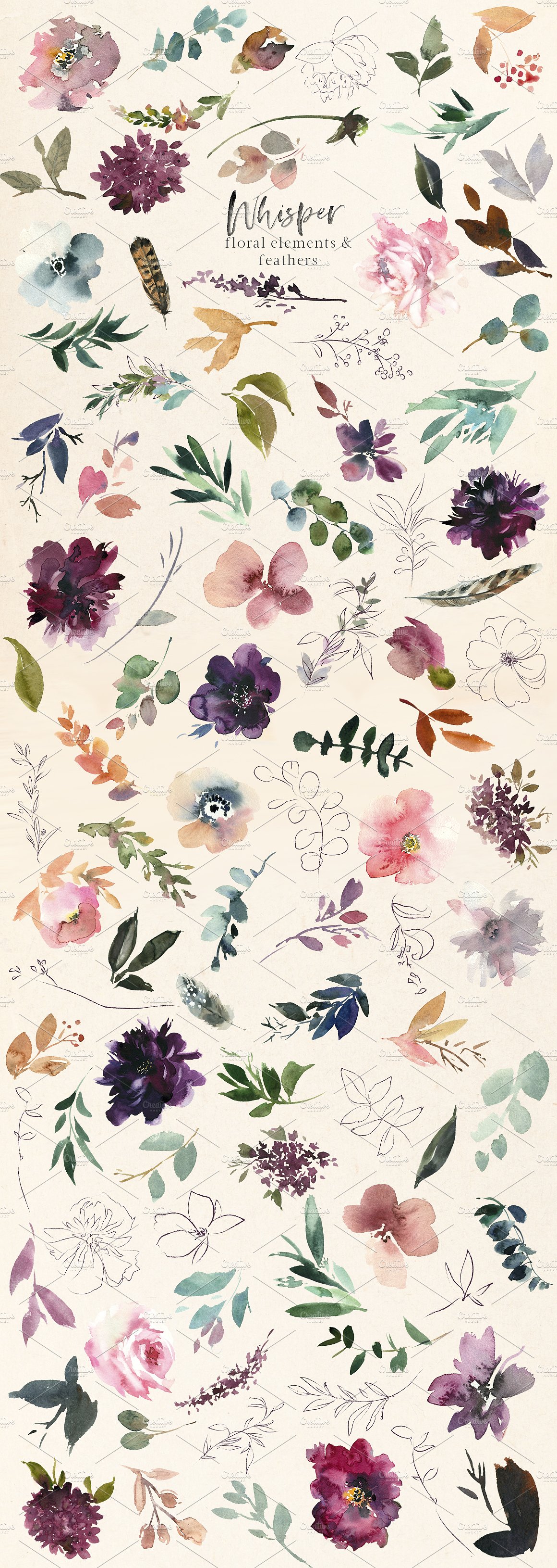 浪漫暗色调水彩花卉剪贴画 Whisper Watercolor Floral Clipart插图(9)