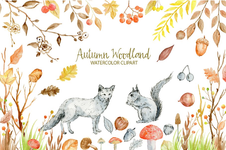 水彩秋季林地剪贴画合集 Watercolor Clipart Autumn Woodland插图