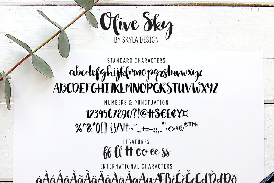 现代手写书法英文字体 Olive Sky, Modern brush font插图(4)
