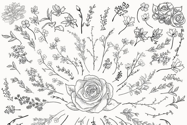 手绘花卉图案AI笔刷合集 Flexible Floral Brushes插图(6)