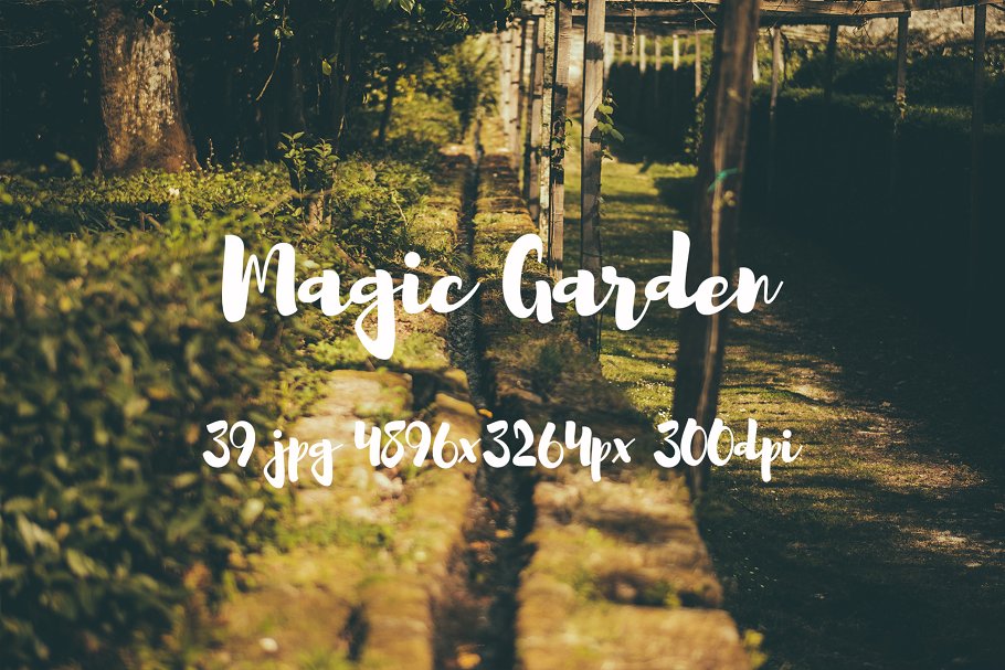 秘密花园花卉植物高清照片素材 Magic Garden photo pack插图(19)