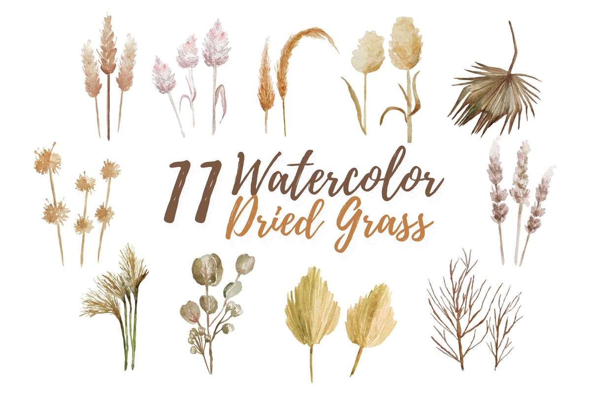 11款热带干草水彩剪贴画&装饰元素 11 Watercolor Dried Grass Illustration Graphics插图