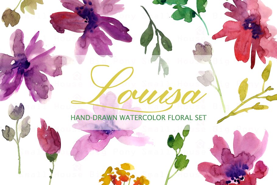 手绘水彩花卉剪贴画 Louisa- Watercolor Clip Art Set插图(3)