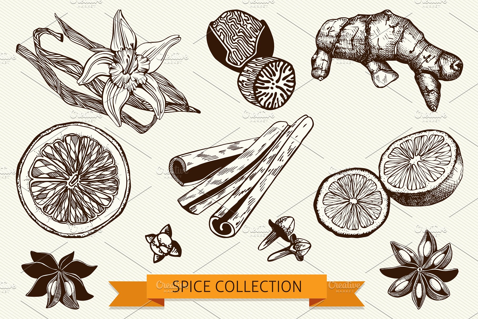 厨房香料及香草矢量插画 Vector Kitchen Spice & Herbs Set插图(2)